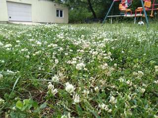 Апартаменты Green Side Котор Апартаменты с 1 спальней-12