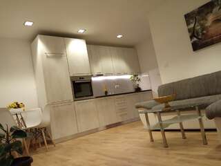 Апартаменты Green Side Котор Апартаменты с 1 спальней-2