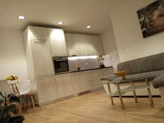 Апартаменты Green Side Котор Апартаменты с 1 спальней-34